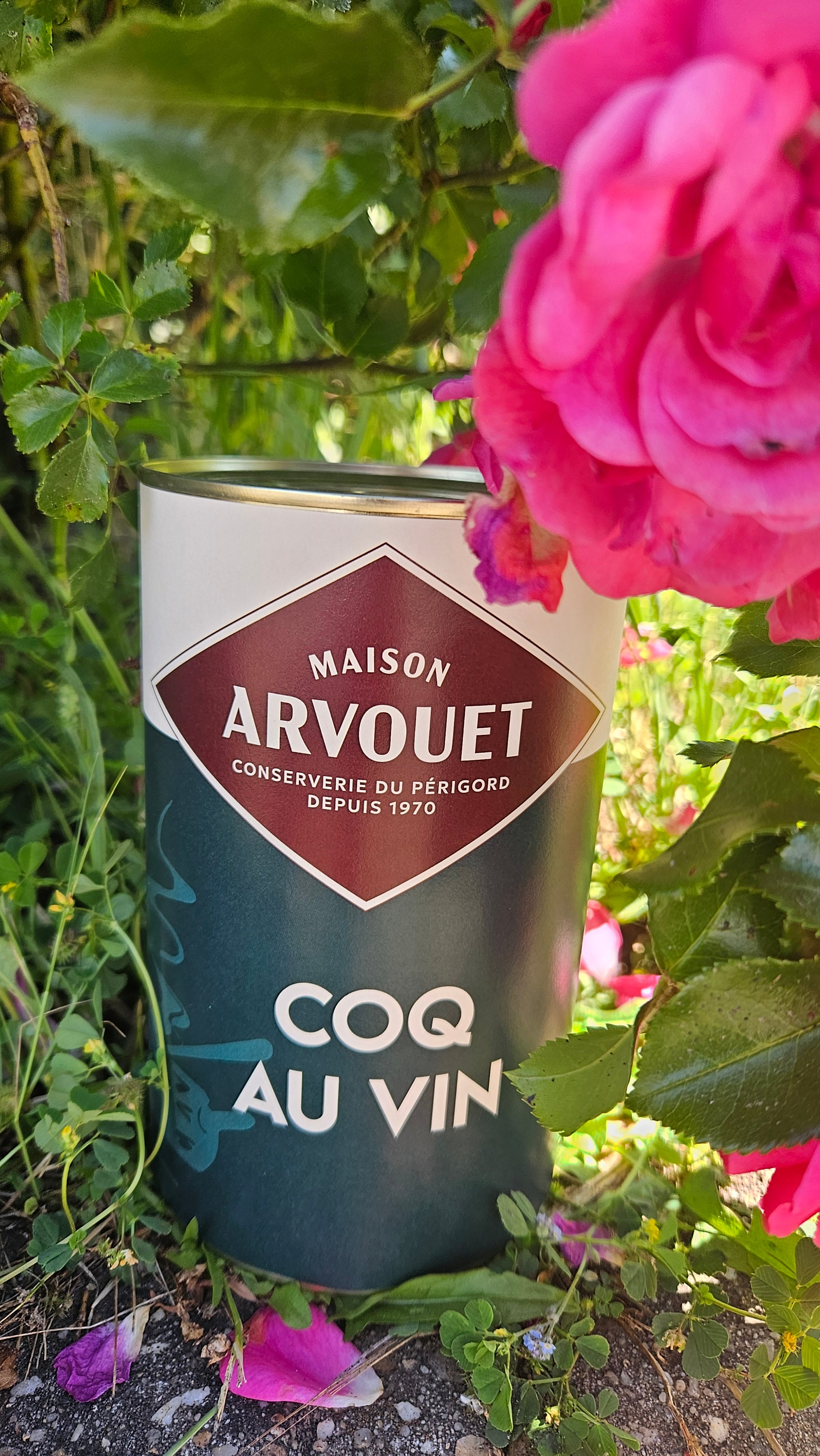 Coq au Vin